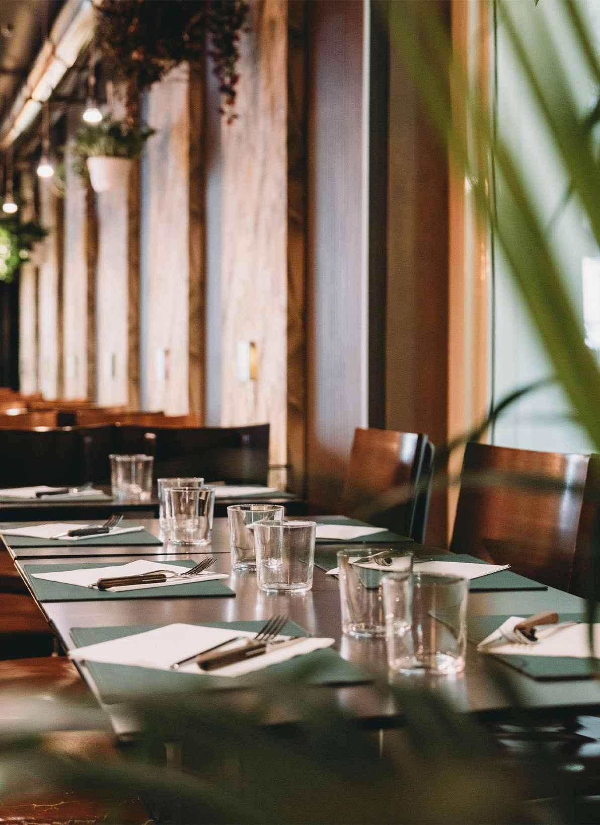 Restaurant dining table set with glasses and plates near windows with natural lighting - Out of town in New York, NY